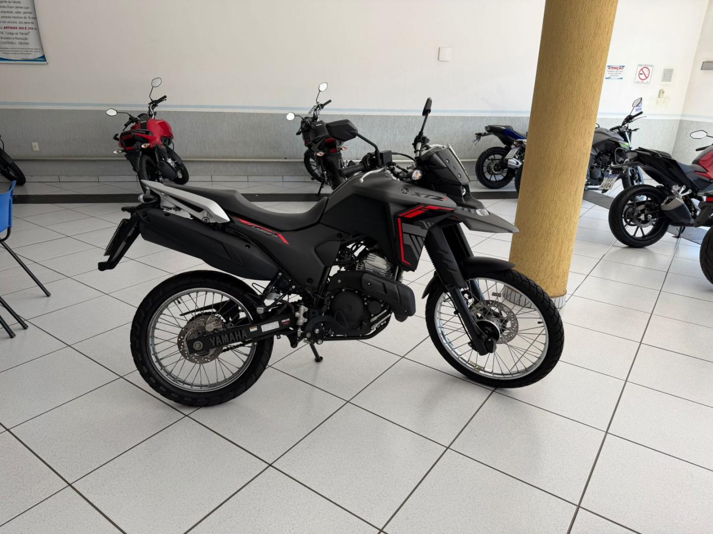 XTZ 250 LANDER  image 1