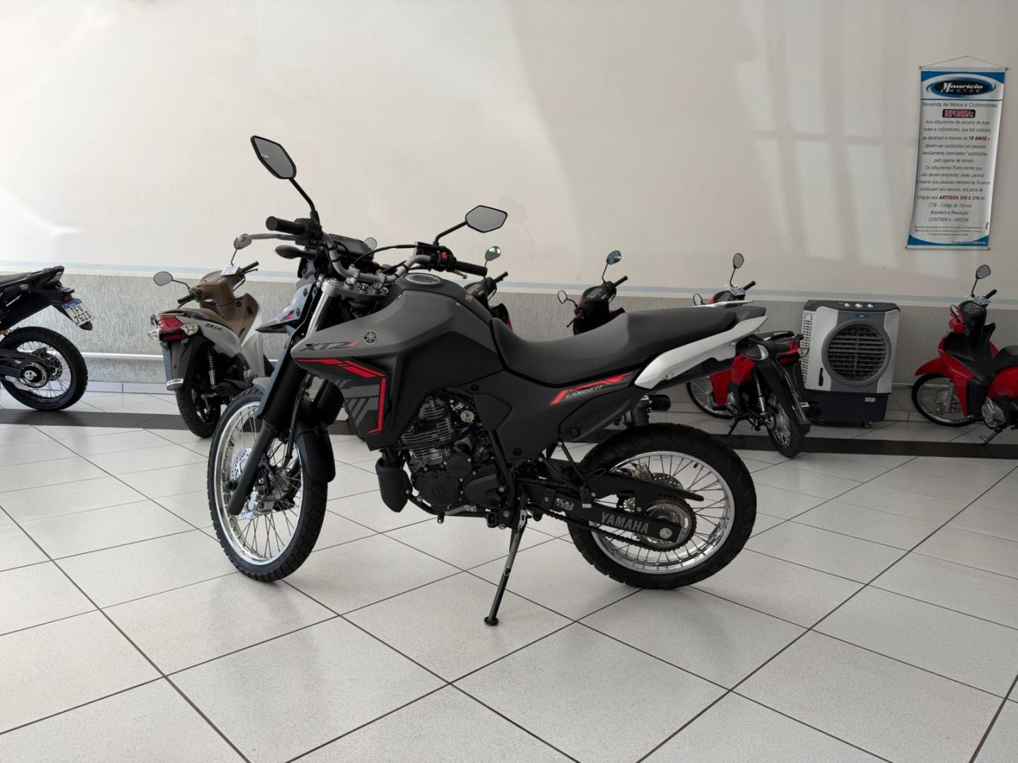 XTZ 250 LANDER  image 2