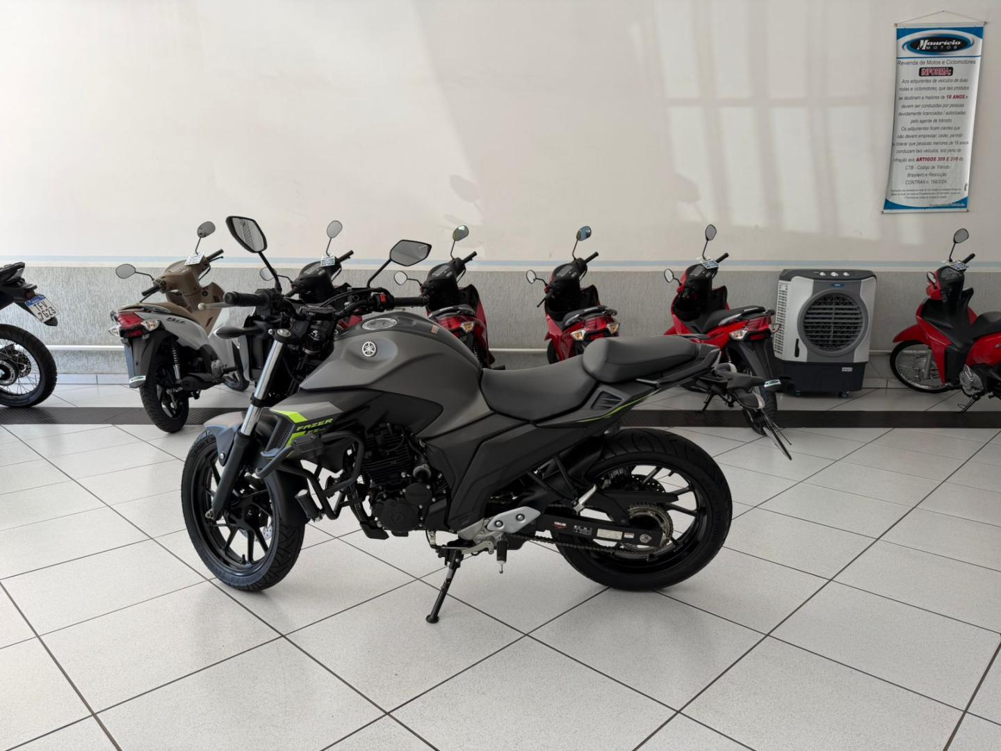 250 FAZER FLEX image 2